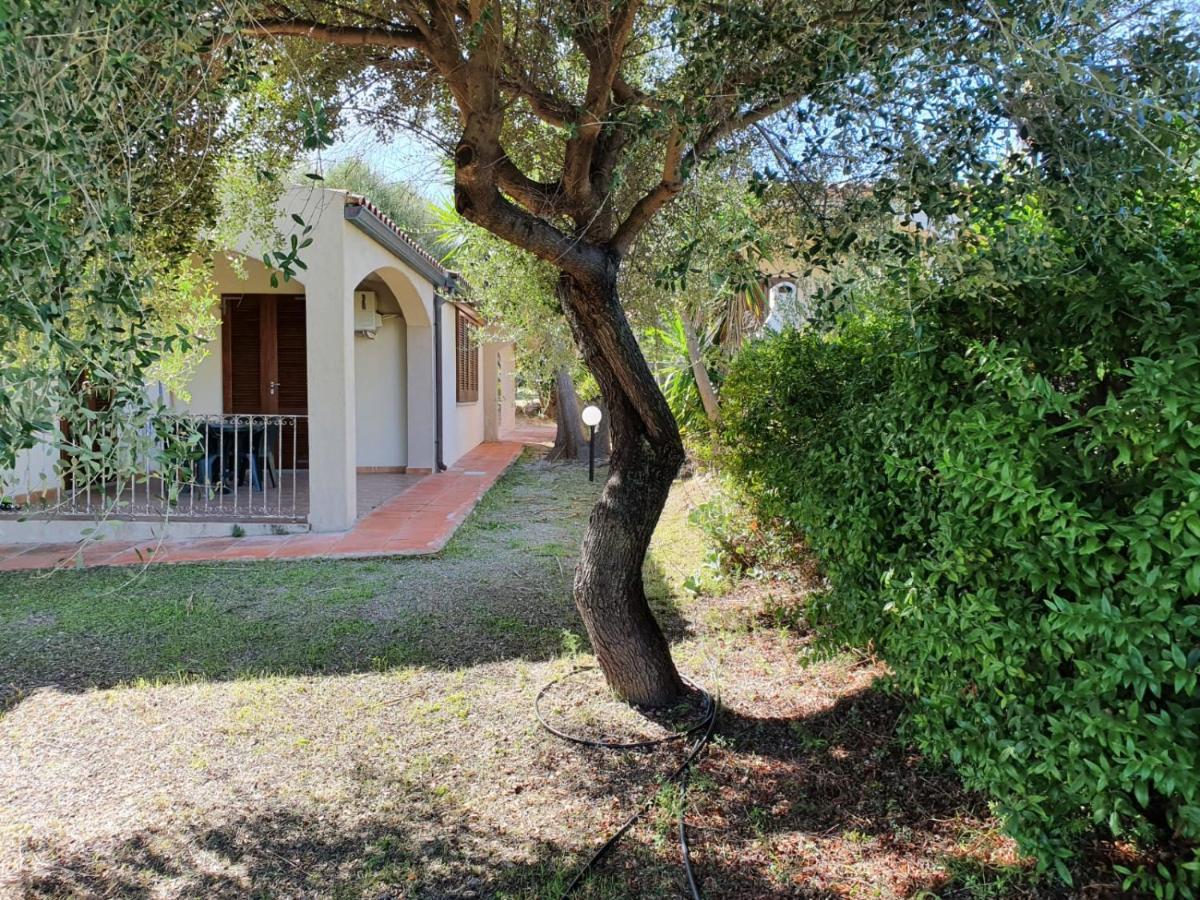 شقة La Casa Di Spinosella فاليدوريا المظهر الخارجي الصورة