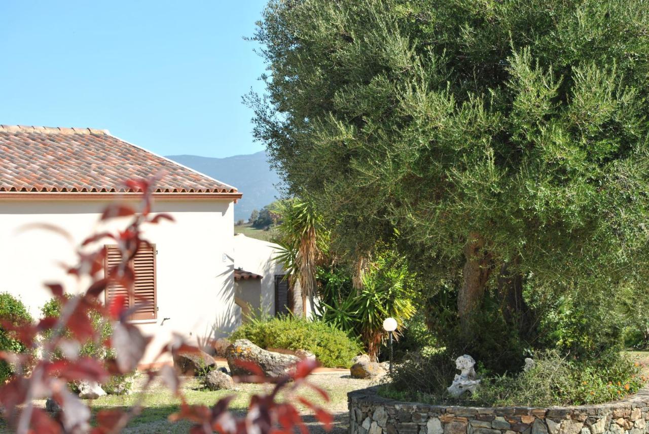 شقة La Casa Di Spinosella فاليدوريا المظهر الخارجي الصورة